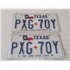Image 1 : TEXAS The Lone Star State Licence Plate