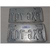 Image 2 : TEXAS The Lone Star State Licence Plate