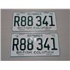 Image 1 : 1975 BC REPAIRER License Plate