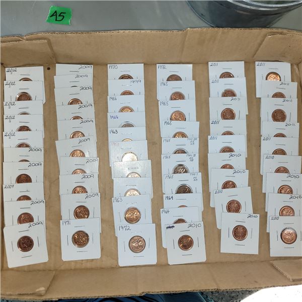 Large Lot of Canadian Pennies - Various Years