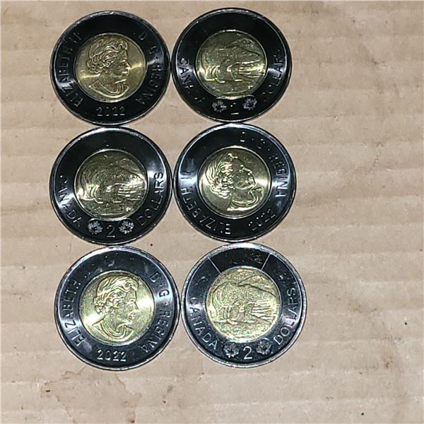 Lot of 6 Black Rimmed Queen Elizabeth Toonies