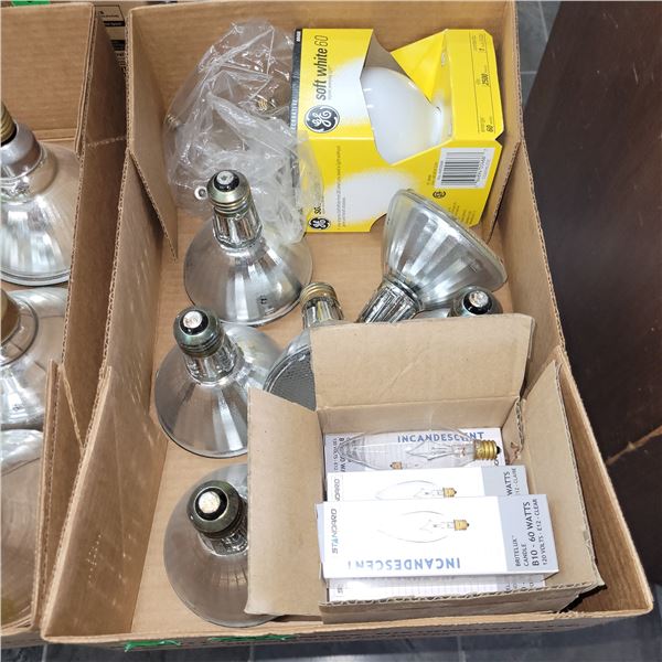 Box Various Lightbulbs