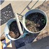 Image 2 : Unique Double Pail Planter