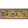 Image 1 : NY license plates with Statue of Liberty