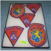 Image 1 : Group of vintage police patches