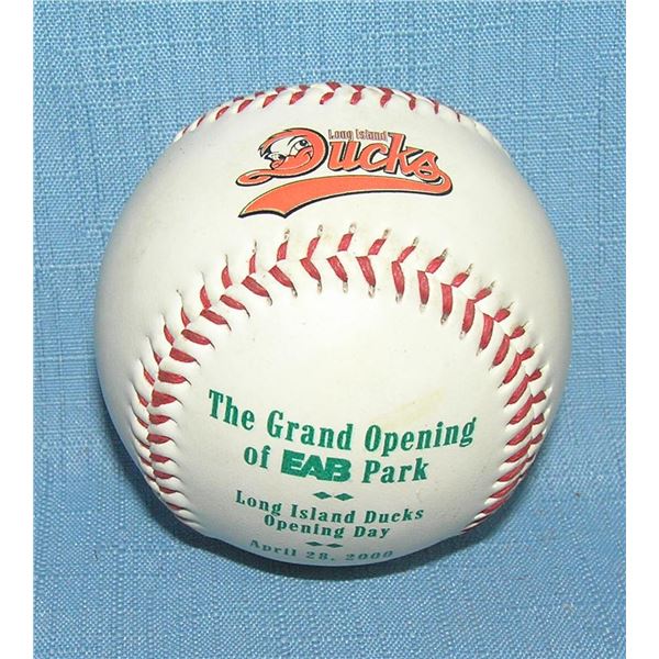 Long Island Ducks baseball team baseball