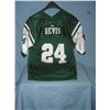Darrelle Revis NY Jets green and ahite jersey