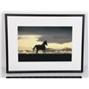 Image 1 : "FREEDOM" HORSE PICTURE BY PHOTOGRAPHER