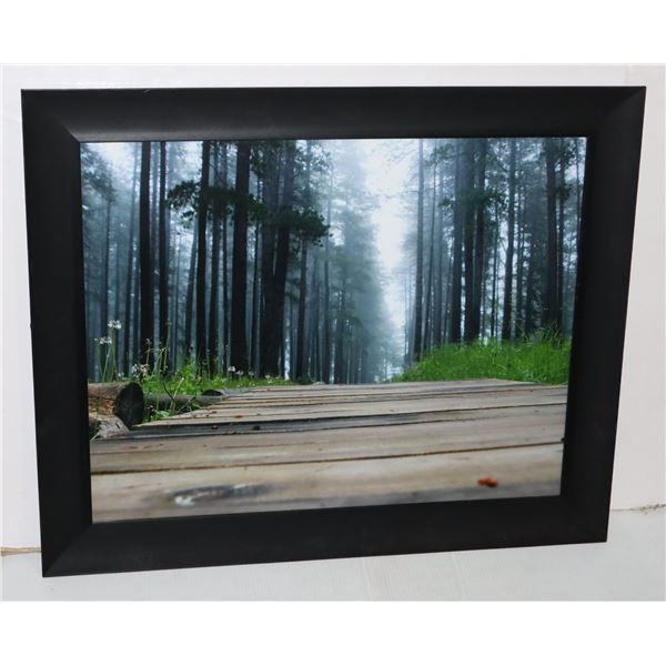 LARGE FRAMED UNDER GLASS WOODLAND TRAIL