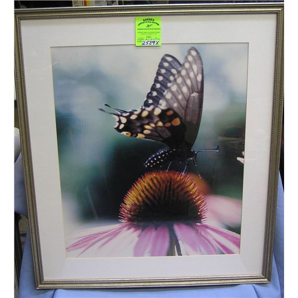High quality butterfly and flower print