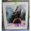 Image 1 : High quality butterfly and flower print