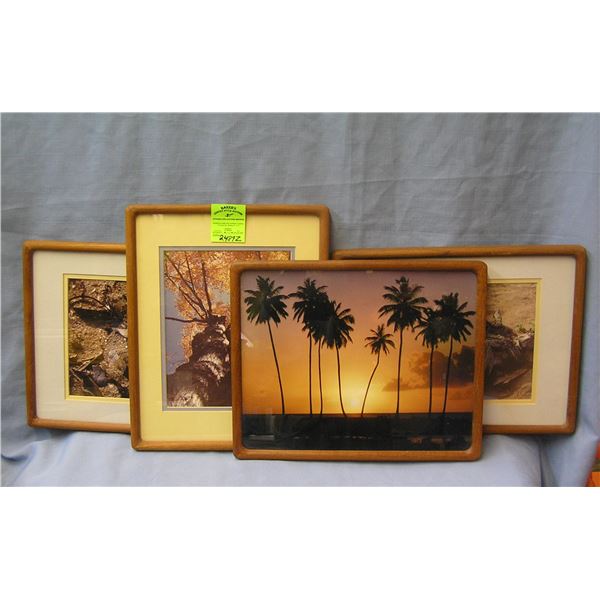 Group of four matted and framed prints