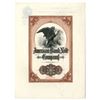 Image 1 : NY. ABNC, Advertising Letterhead with Stock Certificate Appearing Cover with Large Screaming Eagle, 