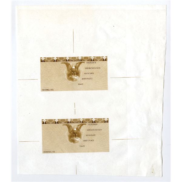 NY. ABNC Printed Passport Related ID Cards, Uncut Sheet of 2, Printed on Tyvek Polymer Paper, ca.198