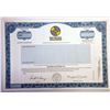 Image 1 : Network Solutions, Inc 1999 Specimen Stock Certificate.