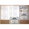 Image 1 : Western Mining Collection of I/U Stock Certificates, 1905 to 1910