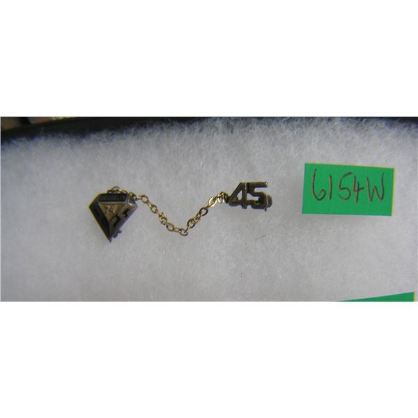 Early Brooklyn Masonic/Lodge pin