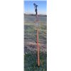 Image 1 : Fiskars Extendable Pole Saw and Tree Pruner