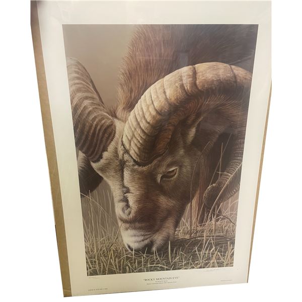 "Rocky Mountain Eye" by Canadian wildlife artist David N. Kitler Limited Edition Print