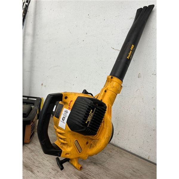 Poulan Gas Blower