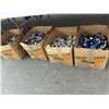 Image 1 : 4-Box of Model Paint - 4 X $