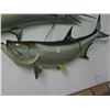 Image 1 : Tarpon 7' Taxidermy
