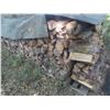 Image 2 : FireWood Oak and Tamarac Covered with Rubber Tarp 4x4x26