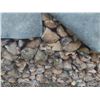Image 7 : FireWood Oak and Tamarac Covered with Rubber Tarp 4x4x26