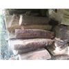 Image 6 : FireWood Oak and Tamarac Covered with Rubber Tarp 4x4x19