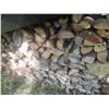 Image 2 : FireWood Oak and Tamarac Covered with Rubber Tarp 4x4x17