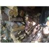 Image 3 : FireWood Oak and Tamarac Covered with Rubber Tarp 4x4x14