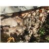 Image 6 : FireWood Oak and Tamarac Covered with Rubber Tarp 4x4x14