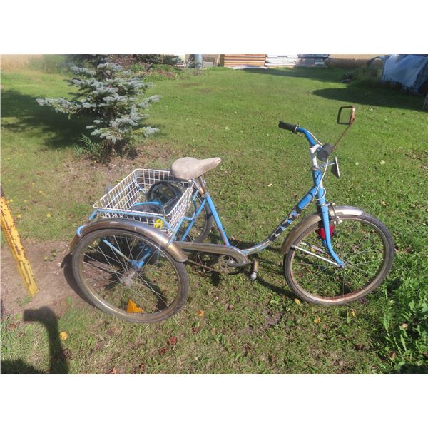 3 Wheel Bears Roebuck 24'' Bicycle