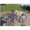 Image 1 : Next Lazer DX Variable Speed 26'' Bicycle