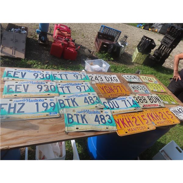 19 License Plates 1970's and Up