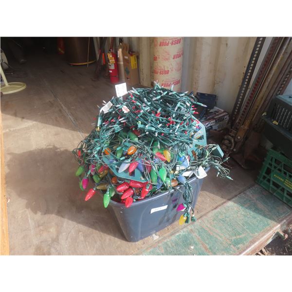 Quantity of Christmas Lights 