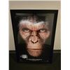 Image 2 : Group of 2 Framed Posters - Avatar & Rise of the Planet of Apes