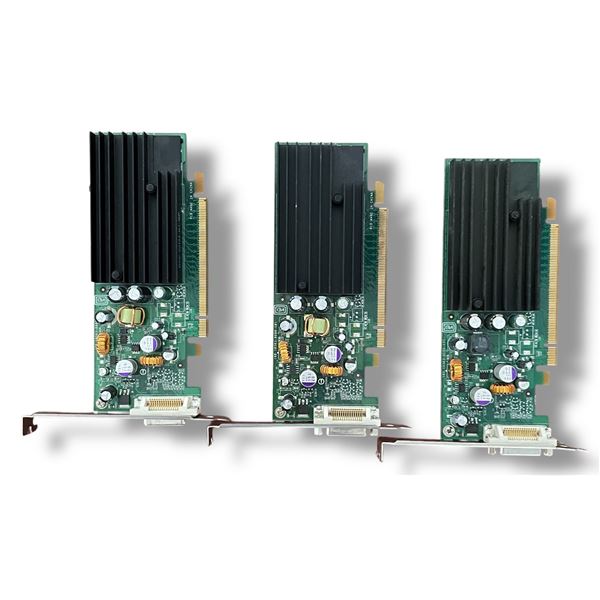 L1 - 3x NVIDIA Quadro Graphics Card Quadro 2000 & Quadro FX 500