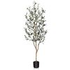 Image 1 : 1 5FT Tall Artificial Olive Tree; Faux Potted Olive Tree Plant - New in Box