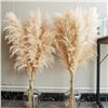 Image 1 : 10-Stem Pack of 40" Tall Natural Pampas Grass Decor - New