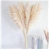 Image 5 : 10-Stem Pack of 40" Tall Natural Pampas Grass Decor - New