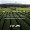 Image 5 : 4 Boxes of OSULLOC Canola & Apricot Tea (30g) 20 Tea Bags Each - New