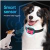 Image 10 : 1 Dogrook Rechargeable Dog Bark Collar - Humane/No-Shock Anti-Bark Dog Collar - New