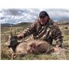 Image 2 : SPAIN – 4 DAY ROE DEER HUNT FOR 1 HUNTER & 1 OBSERVER