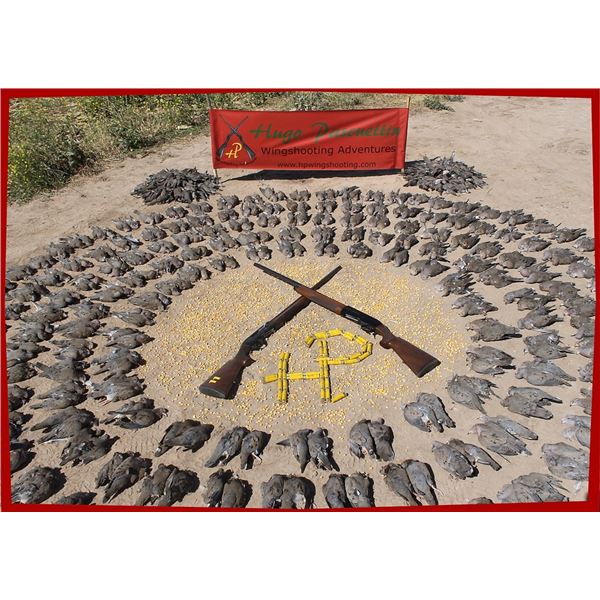 ARGENTINA – 4 DAY HIGH VOLUME DOVE HUNTING FOR 4 HUNTERS