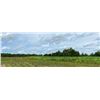 Image 3 : MICHIGAN FULL PROPERTY CONSULTATION