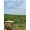 Image 3 : TEXAS – 3 DAY HOG HUNTING PACKAGE FOR 2 HUNTERS