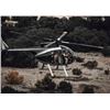Image 3 : TEXAS – 2HR / 1 NIGHT HELICOPTER HOG HUNT FOR 2 HUNTERS
