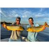 Image 3 : ARGENTINA – 4 DAY BIG GAME HUNT / 1 DAY FISHING FOR GOLDEN DORADO FOR 4 HUNTERS