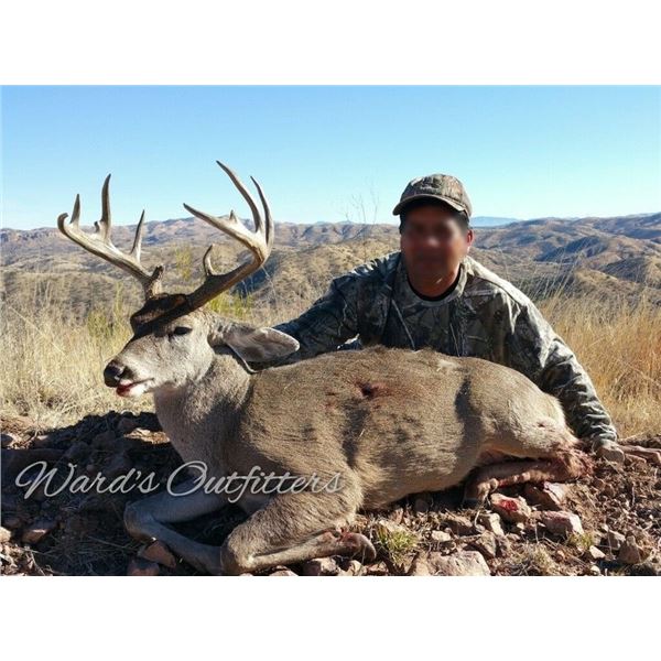 ARIZONA – 5 DAY COUES DEER FIREARM HUNT FOR 1 HUNTER